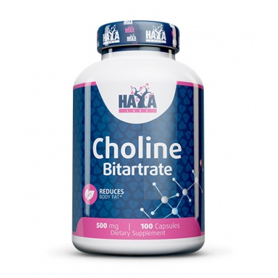  Haya Labs Choline Bitartrate 500  100 